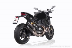 QD Auspuff Carbon Euro4 fr Ducati Monster 821, 1200 MY17 & R